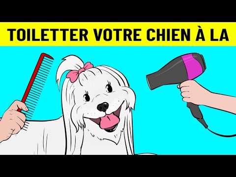 Vidéo: Conseils pour couper les ongles de berger allemand