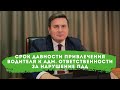 Срок давности привлечения водителя к административной ответственности за нарушение ПДД