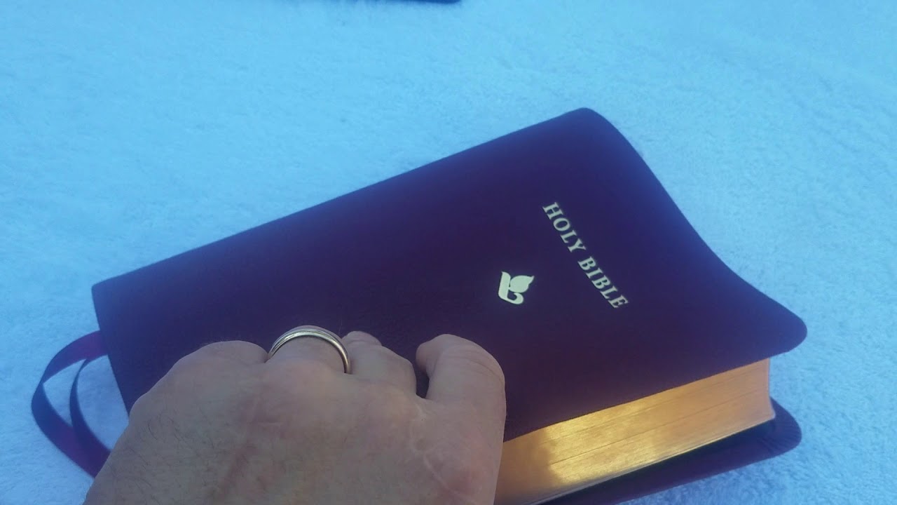 Cambridge NRSV Goatskin Reference Bible Review YouTube