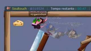 Transformice-Linkeerzin