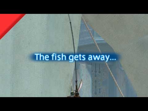 Why do fish get away?