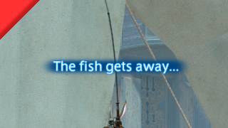 Why do fish get away