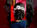 Juda Hairstyle♥️ 🥰#ytshort#trendingshort#viralshort#minivlog#hairstyle#shorts#@HimaniBohravlogs