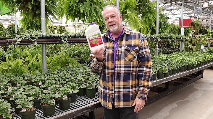 Once a year tree and shrub drench