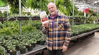 Once a year tree and shrub drench