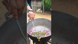 ¡Moro Dominicano! Cocinando el Moro de Guandules con Coco #shorts