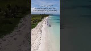 Adab Itu Lebih Berharga Daripada Emas shorts