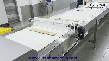 Inside Look: Full Process of Wafer Biscuits from Feeding to Flow Packaging