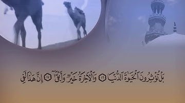 سورة الأعلى للقارئ ماهر المعيقلي