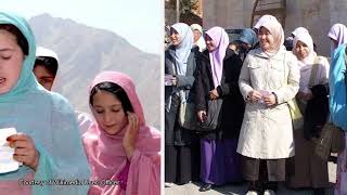 Islam Studies Weekly