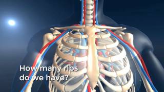 Anatomy VR - Trailer - Unimersiv