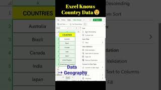 Geography Feature in Excel - How to Use Map Chart in Excel workbook #shorts #excel #exceltips #viral