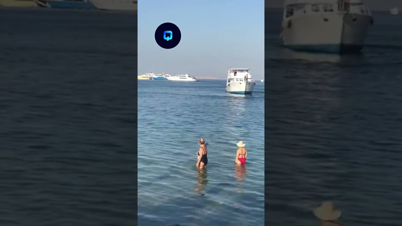 Terrifying Footage From Hurghada Of A Woman Standing While Shark Swims Around Her