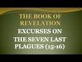 THE BOOK. OF REVELATION: THE DRAMATISATION OF GOD&#39;S JUDGMENT ON HUMAN AGENTS (15-16)