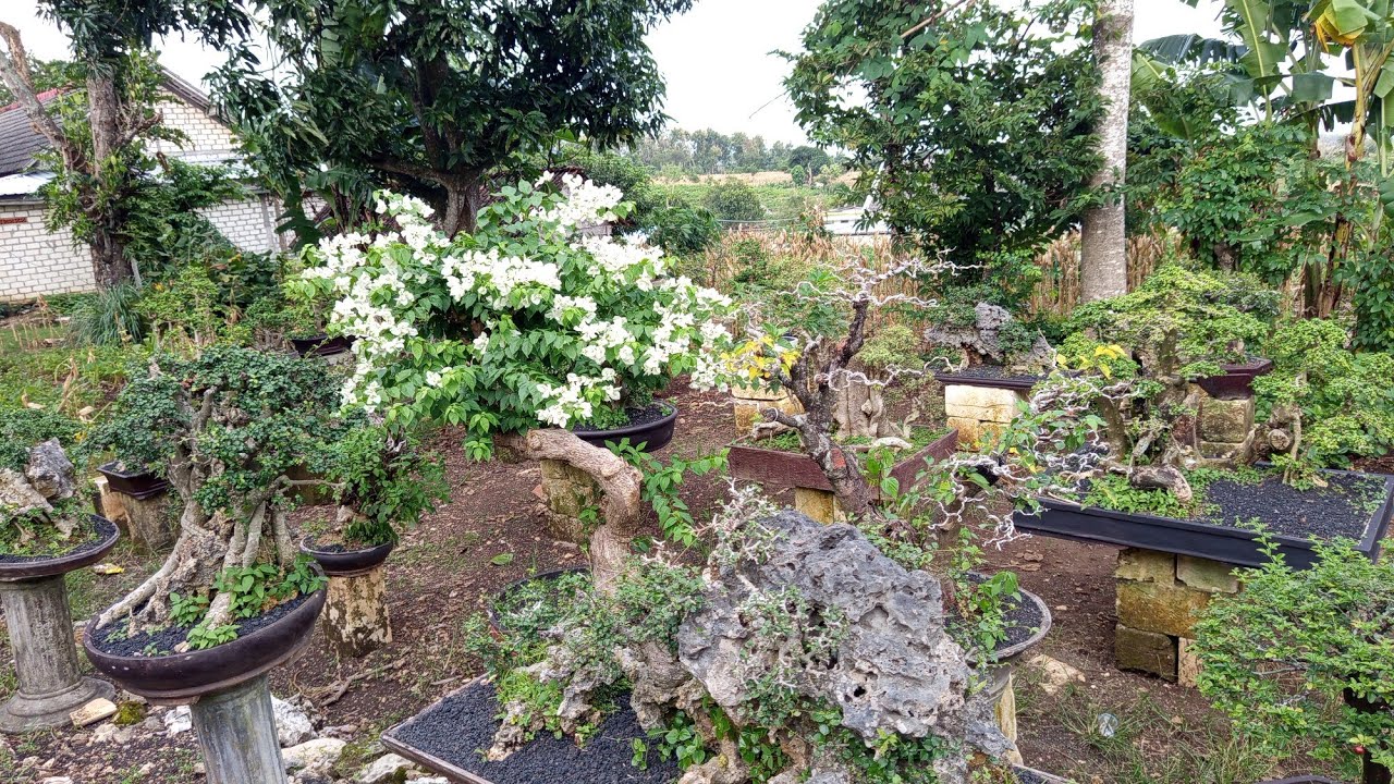 Special hrga Ramadhan‼️ 081 336 047 544