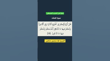 الآية 31 من #سورة_فصلت #القرآن #القران #القرآن_الكريم #القران_الكريم #اكسبلور #اكسبلورر #تيك_توك