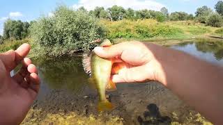 Light River Fishing - Ψάρεμα σε ποτάμι!
