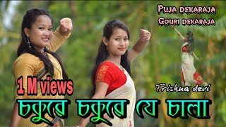 Sokuwe sokuwe je sala// trishna Devi // cover dance //Puja and Gouri screenshot 5