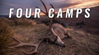 FOUR CAMPS - 2nd Season Colorado Mule Deer Hunt