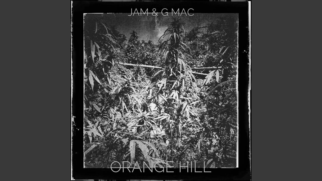Watch Orange Hill on YouTube Watch Orange Hill on YouTube