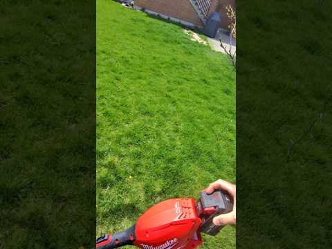 M18 FUEL™ String Trimmer w/ QUIK-LOK™ | 3016 Video Credit: @cb_electric