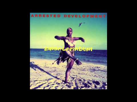 Arrested Development ‎– Africa's Inside Of Me - Zingalamaduni