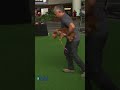 How To Get A Dog To Stop Chewing Its Carrier I Cesar 911 #shorts