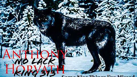 Anthony Horvath - Tonight By Kleeer REMIX