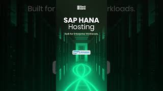 SAP S/4 HANA Dedicated Server Hosting | High Performance & Secure Infrastructure