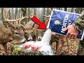 27 “BANNED” Deer Hunting Tricks That Actually Pull Bucks Straight to Your Stand