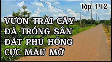 chị kim cần tiền rao bán vườn trái cây đủ loại ở bà rịa vũng tàu