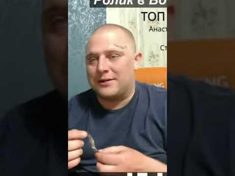 Аркаша делает очередной круг вокруг дома #shorts #хочупожратьтв #угар #полноетв #хочупожратьтв
