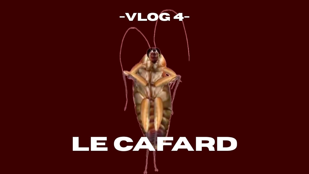 VLOG 4   LE CAFARD