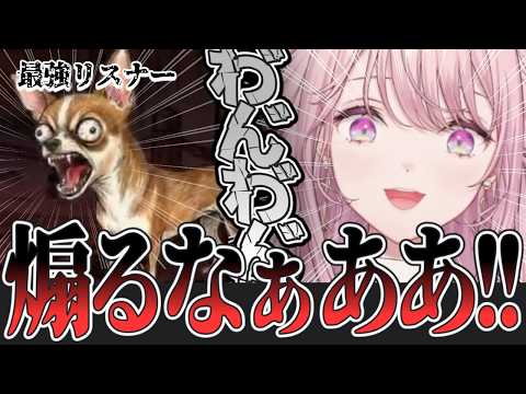 【ワンコロ】突然始まった参加型でリスナーに煽られガチ炊きするご令嬢 全バトル一気見まとめ【御子神琴音/にじさんじ切り抜き/Y4T4】#琴音をひとつまみ