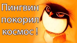 Пингвин покорил космос ! ( Learn to Fly 3 )