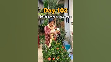 BRAHMA MUHURTA CHALLENGE 🕉️ 102/365#shorts #ytshorts #minivlog #youtubeshorts