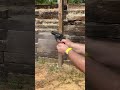 38 special makes a great back up gun pocket gun 38special revolver shooting recoil
