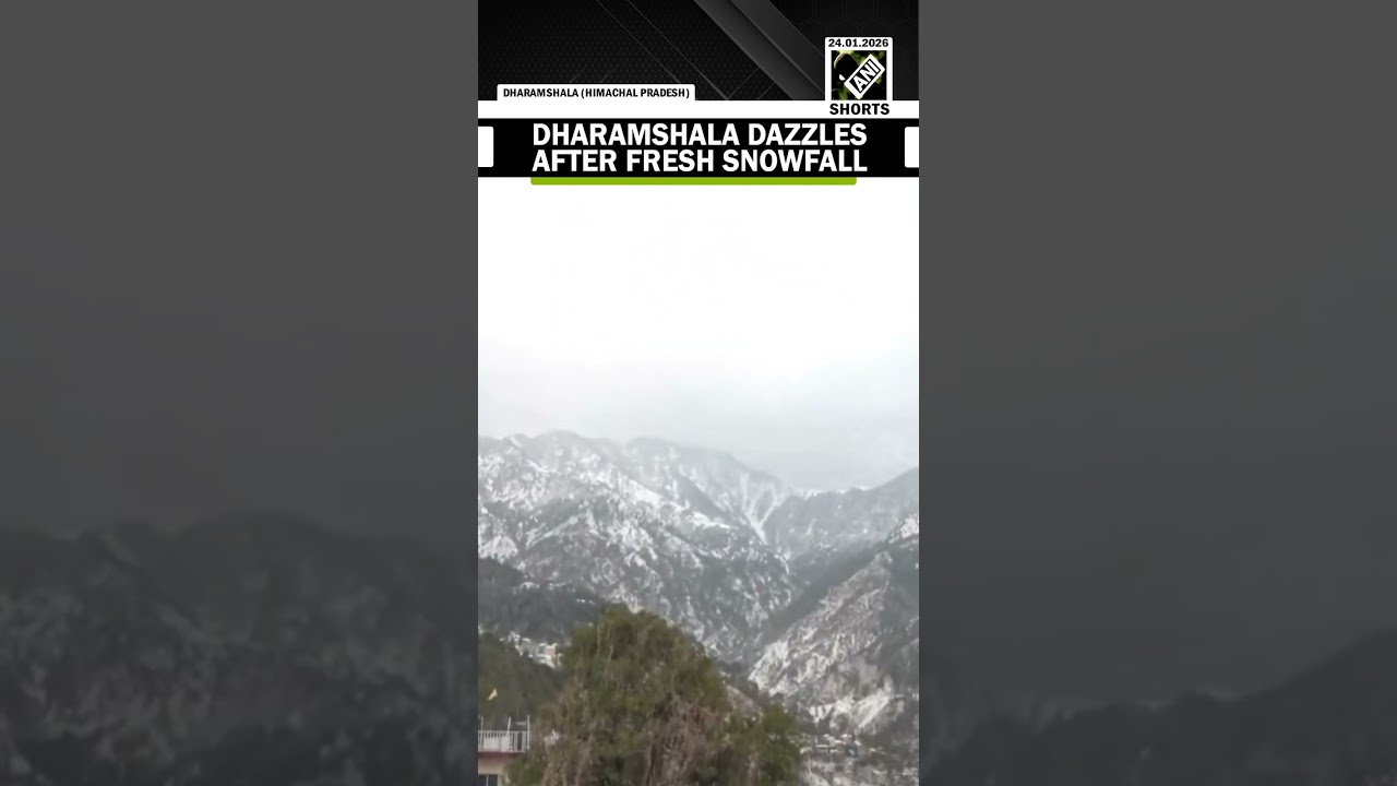 Fresh snowfall brings joy to Dharamshala as streets are covered in white snow, tourists rejoice