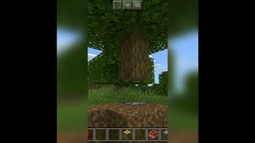 How to make tree troll trap #shorts