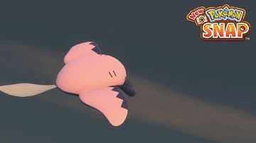 New Pokemon Snap - A Mighty Rolling Leap (4 Star Mantine) | LenTalk Request [Reef (Evening)]