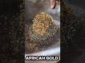 prospecting gold from soil in Africa, African gold mine, #mining