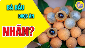 ☘️ Bà Bầu Có Ăn Được Nhãn Không? Những Lưu Ý Khi Bà Bầu Ăn Nhãn | Kiến Thức Mẹ Bầu