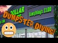 DOLLAR STORE DUMPSTER DIVING! Frugal Family is back in the bins!