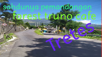 Forest Truno Cafe pemandangan yang menakjubkan