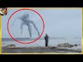 カメラで撮影された巨大生物10 - パート3