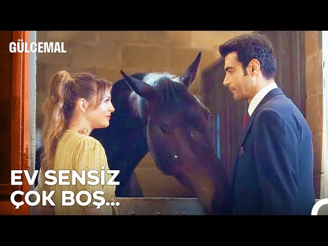 İçten Bir Özür Geçmişi Telafi Edebilir Mi Gülcemal 7 Bölüm