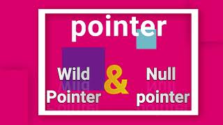 08 | Pointer | Wild pointer and Null pointer in C Net Worth