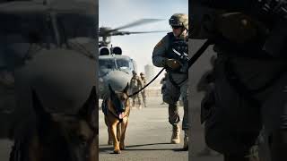 This U.S. Army Dog Risks Everything in Combat 🇺🇸 | Hero K9 in Action