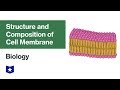 Cell Membrane Structure and Function Quiz