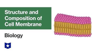 Structure and Composition of Cell Membrane | Biology